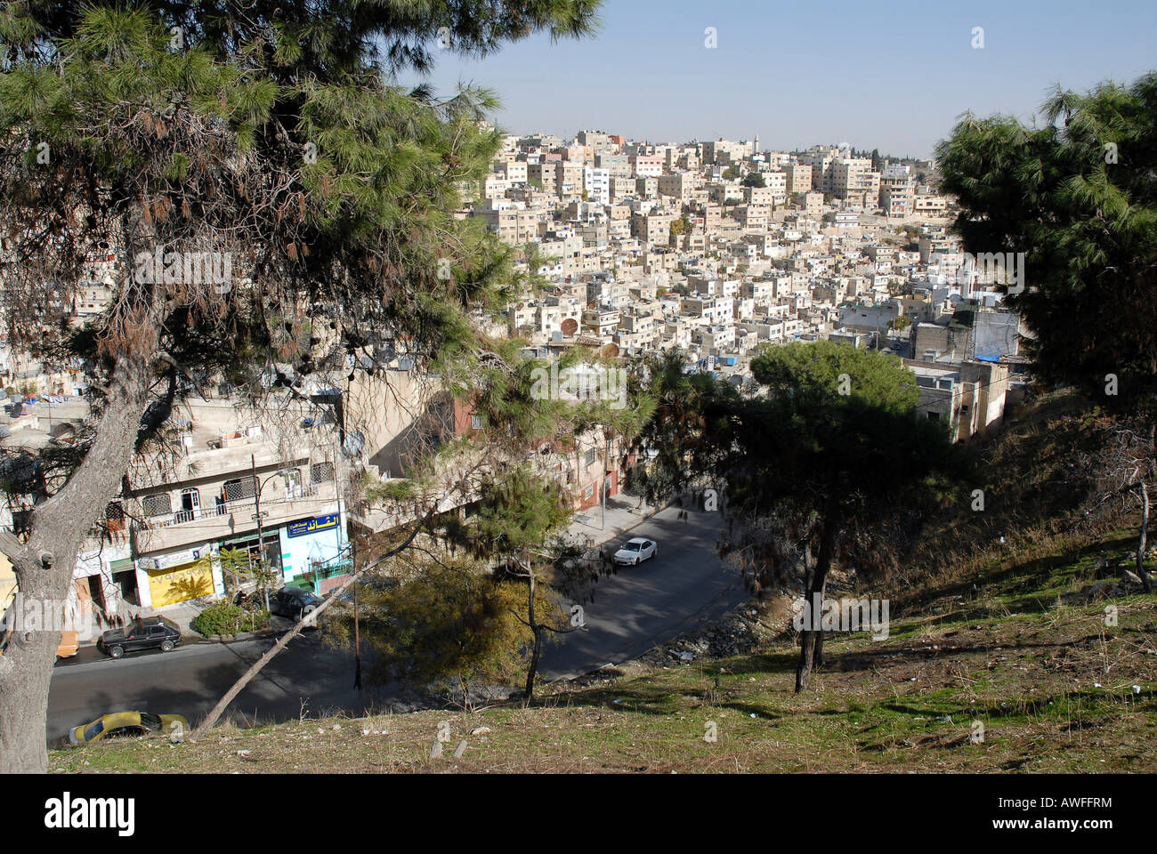 Vista dalla cittadella, Amman, Giordania Foto Stock