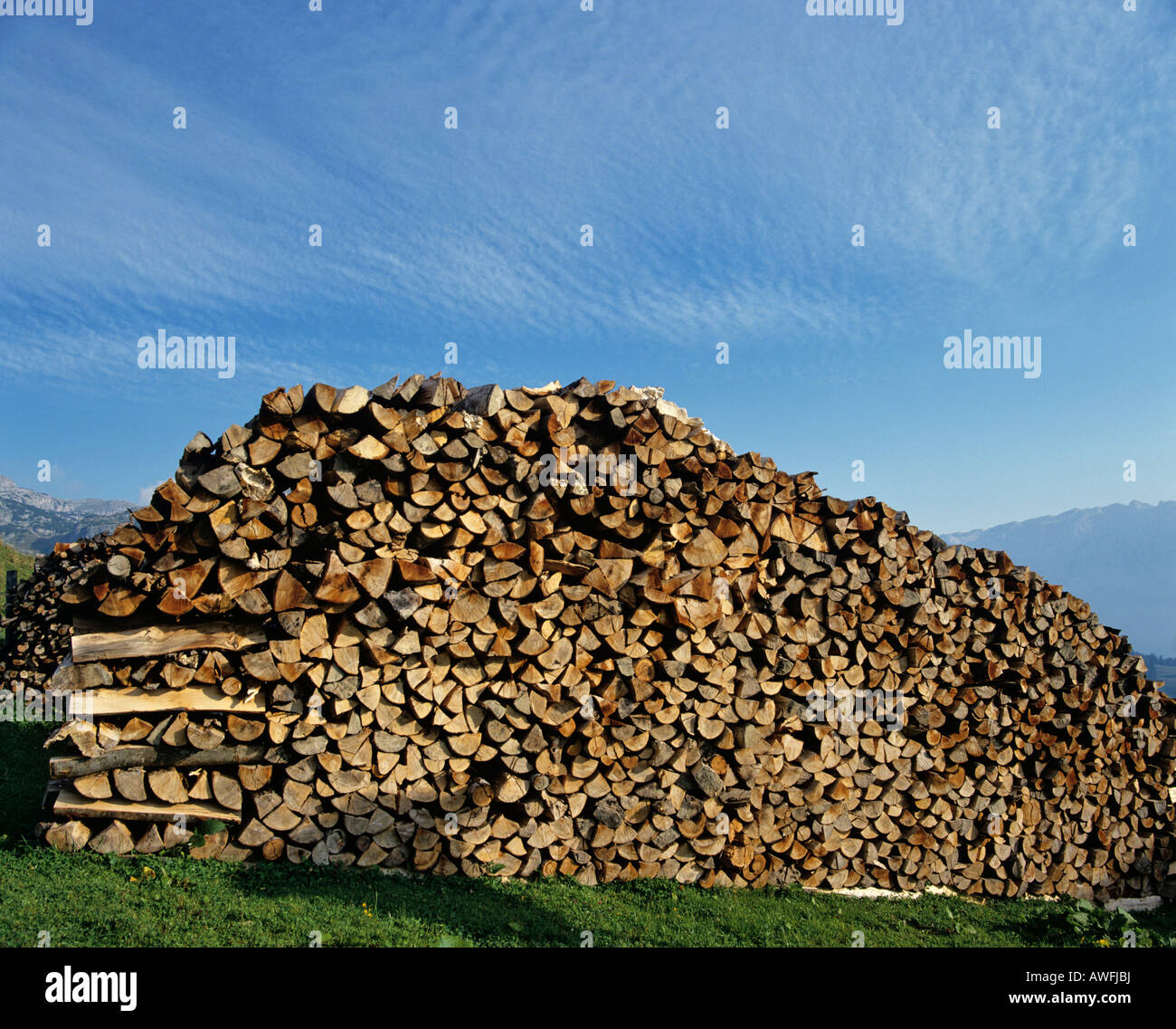Grande catasta di legna da ardere Foto Stock