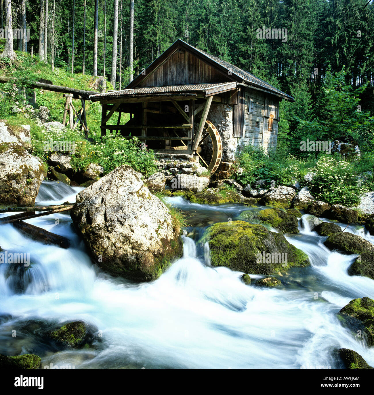 Ruota di mulino ad acqua accanto ad una piccola cascata in un torrente di montagna con moss-rocce coperte Foto Stock