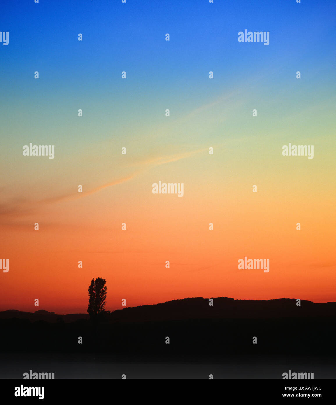 Il PIOPPO stagliano contro un incandescente cielo notturno Foto Stock
