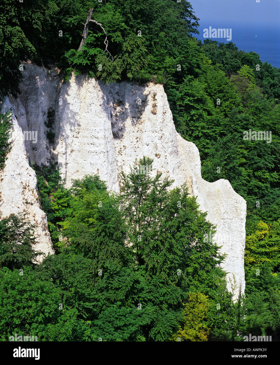 Kreidefelsen ("Chalk Cliffs') a Jasmund National Park, Ruegen Isola, Meclemburgo-Pomerania Occidentale, Germania, Europa Foto Stock