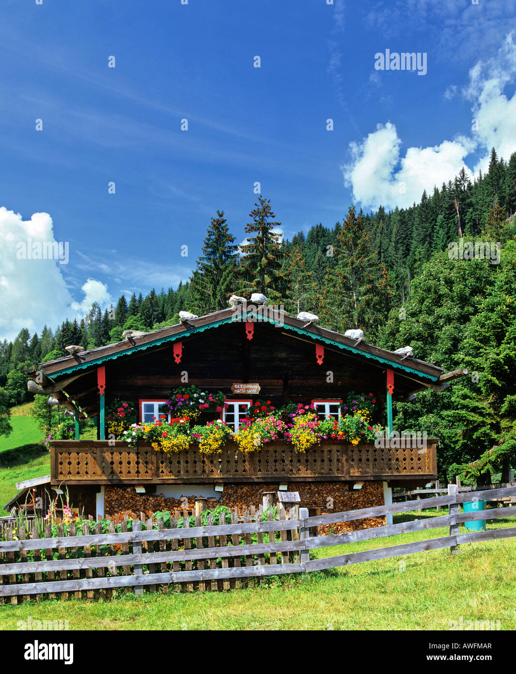 Log Cabin con balcone e fioriere in corrispondenza del bordo della foresta in Stiria, Austria, Europa Foto Stock