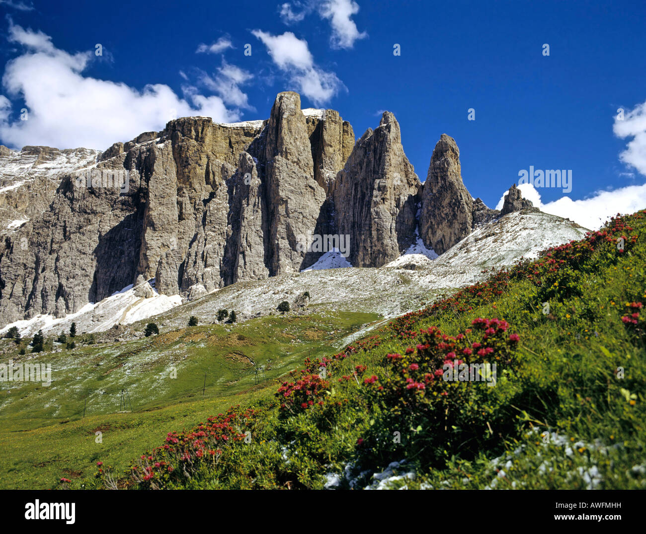 Sellatuerme, alp roses, Dolomiti, Alto Adige, Italia, Europa Foto Stock