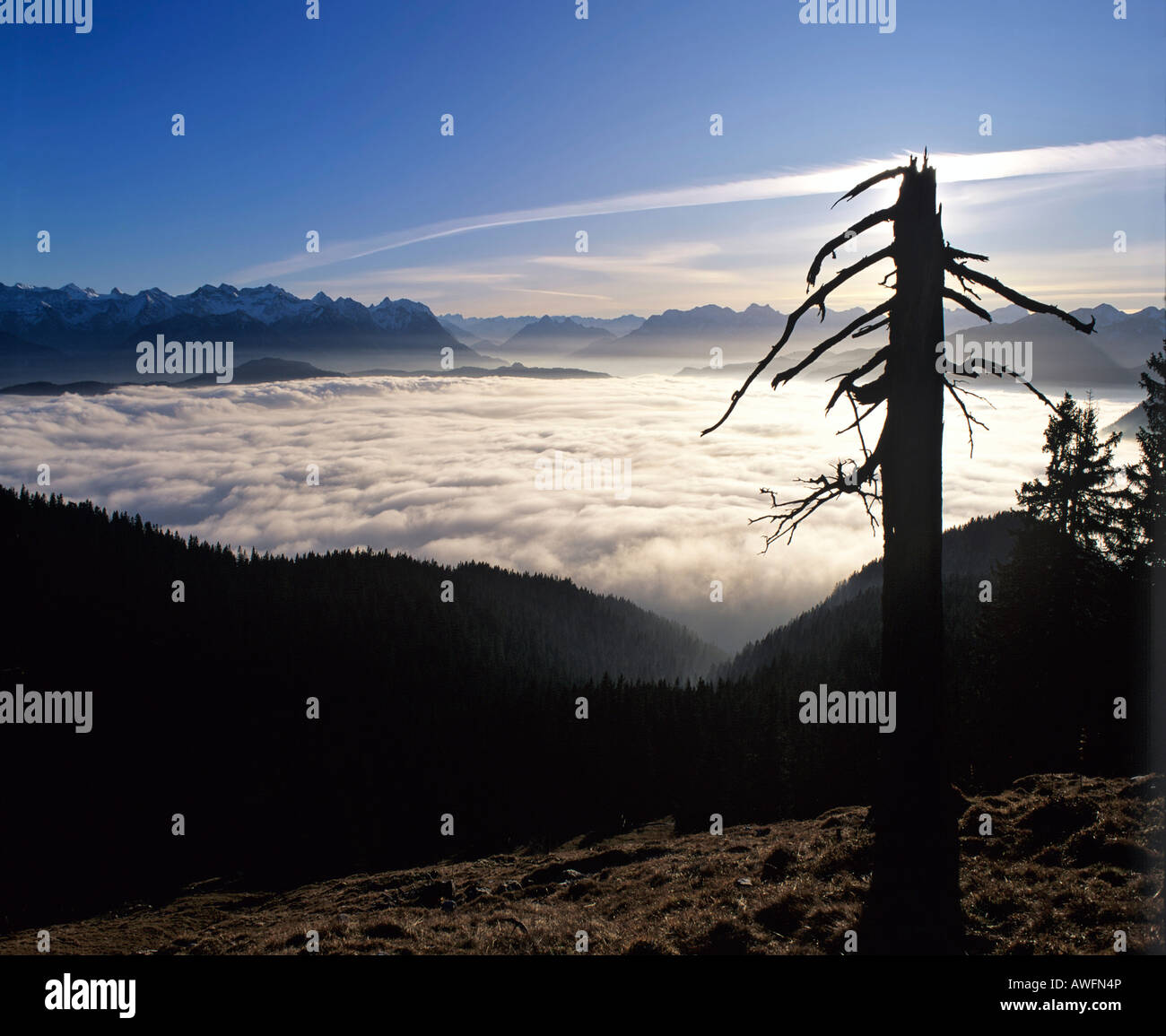 Vista la gamma del Wetterstein e Karwendel gamma, visto da Mt. Jochberg, Isartal (Isar Valley), Alta Baviera, Baviera, Germa Foto Stock