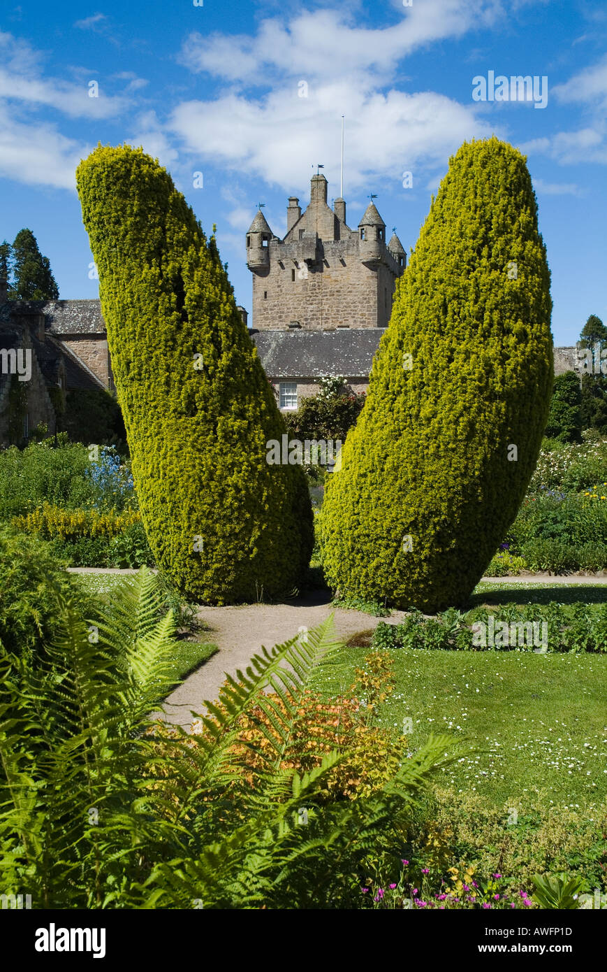 dh Scottish Castles Gardens CAWDOR CASTLE INVERNESSSHIRE Yew pilastri albero giardino siepe fiori percorso alberi Scozia comune taxus baccata Foto Stock