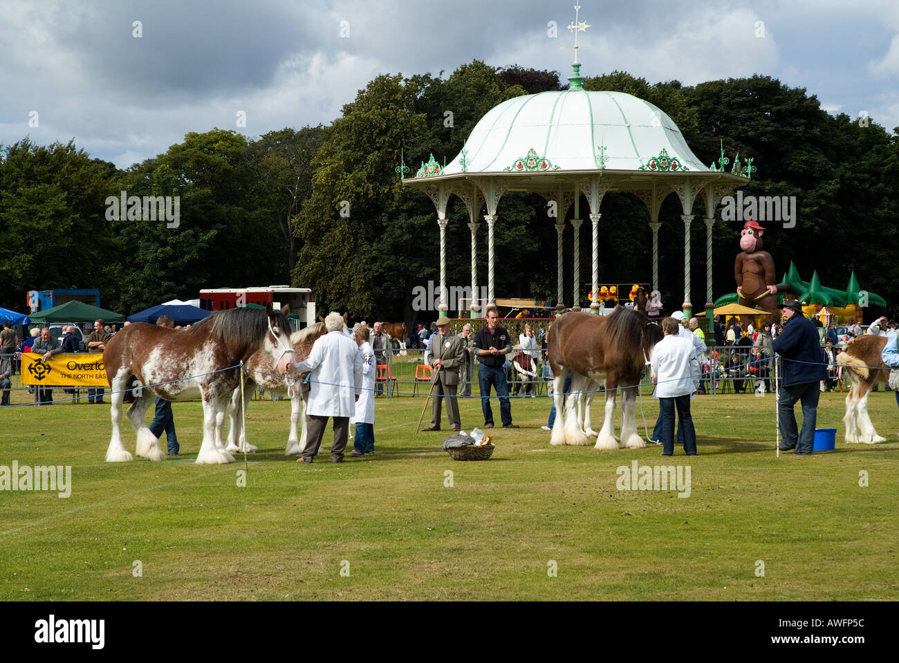 dh DUTHIE PARK ABERDEEN Judge spettatori che guardano i cavalli Clydesdale al Clydesdales show cavallo che mostra la scozia Foto Stock
