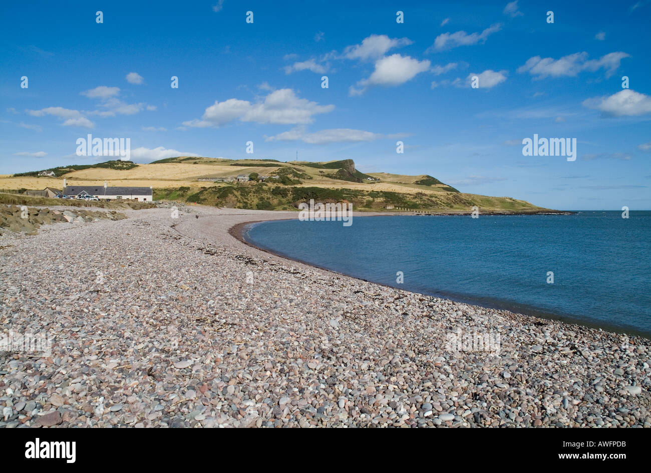 dh costa del mare del Nord scozia INVERBERVIE KINCARDINESHIRE spiaggia di Shingle Foto Stock