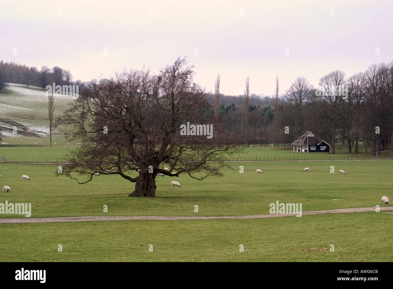 Vista su Chatsworth Park Foto Stock