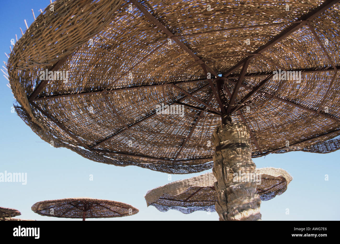 Ombrelloni a Sharm el Sheik Egitto Foto Stock