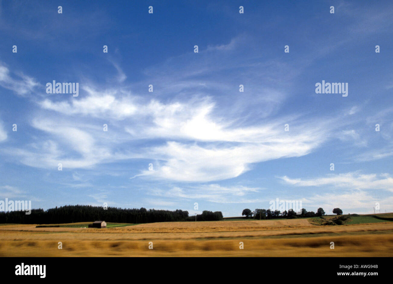 Europa Germania Baviera nuovo fieno falciato i campi Foto Stock