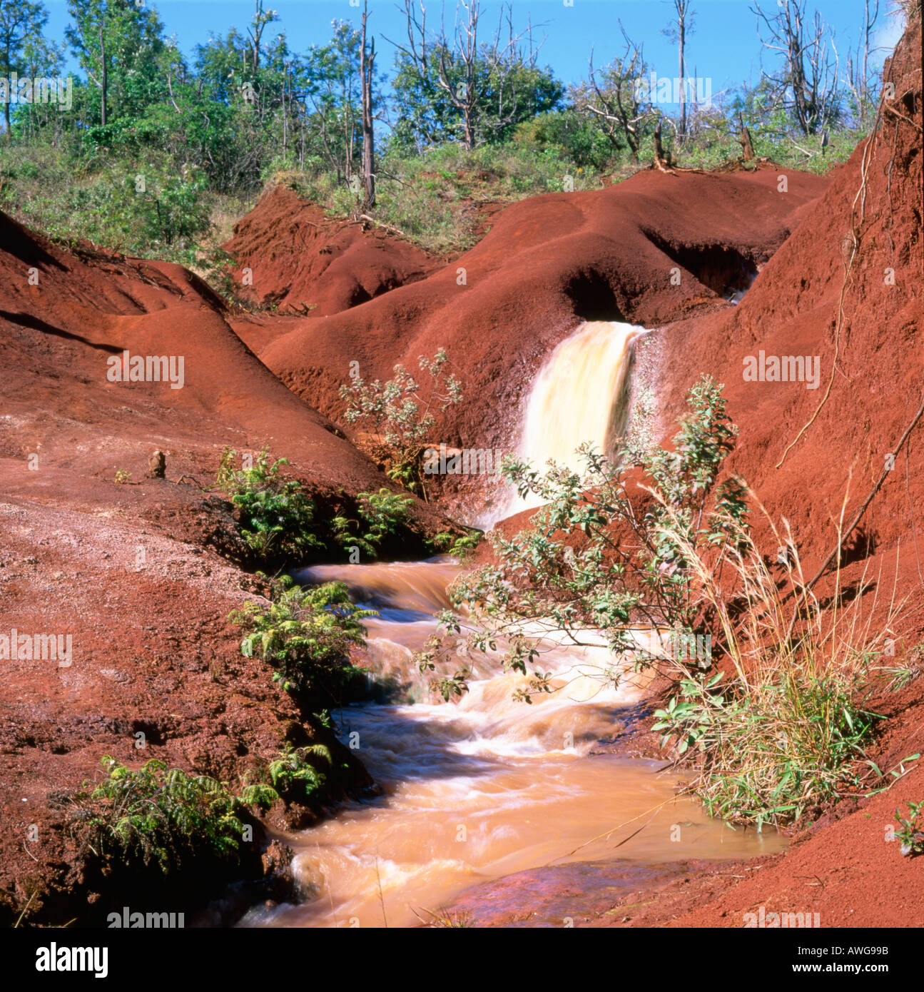 Flusso e piccole cascate del Kokee State Park Kauai Hawaii USA che mostra il colore rosso del suolo nella zona Foto Stock