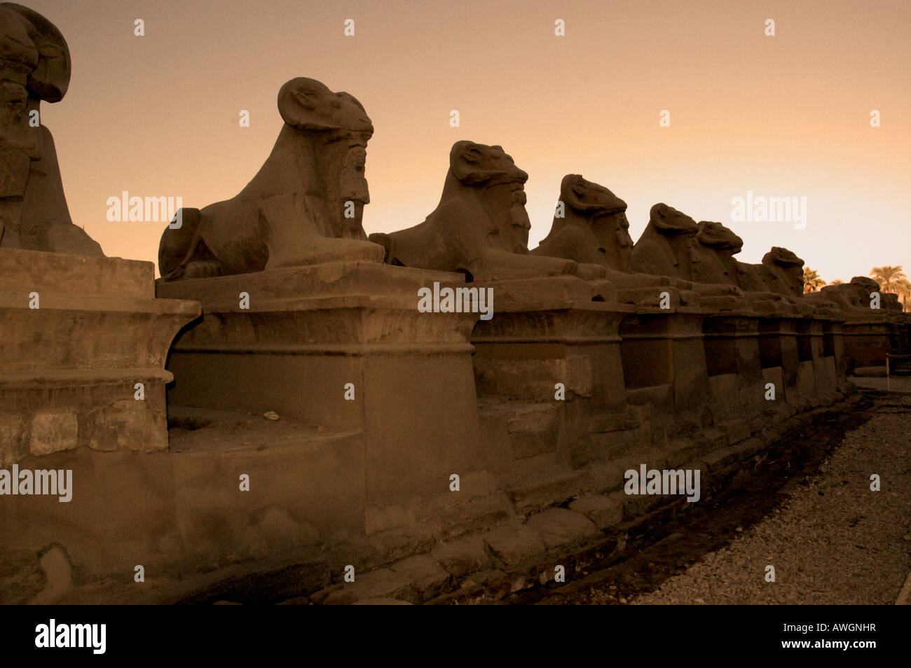 Viale delle Sfingi, Tempio della Karnac, Luxor, Egitto Foto Stock