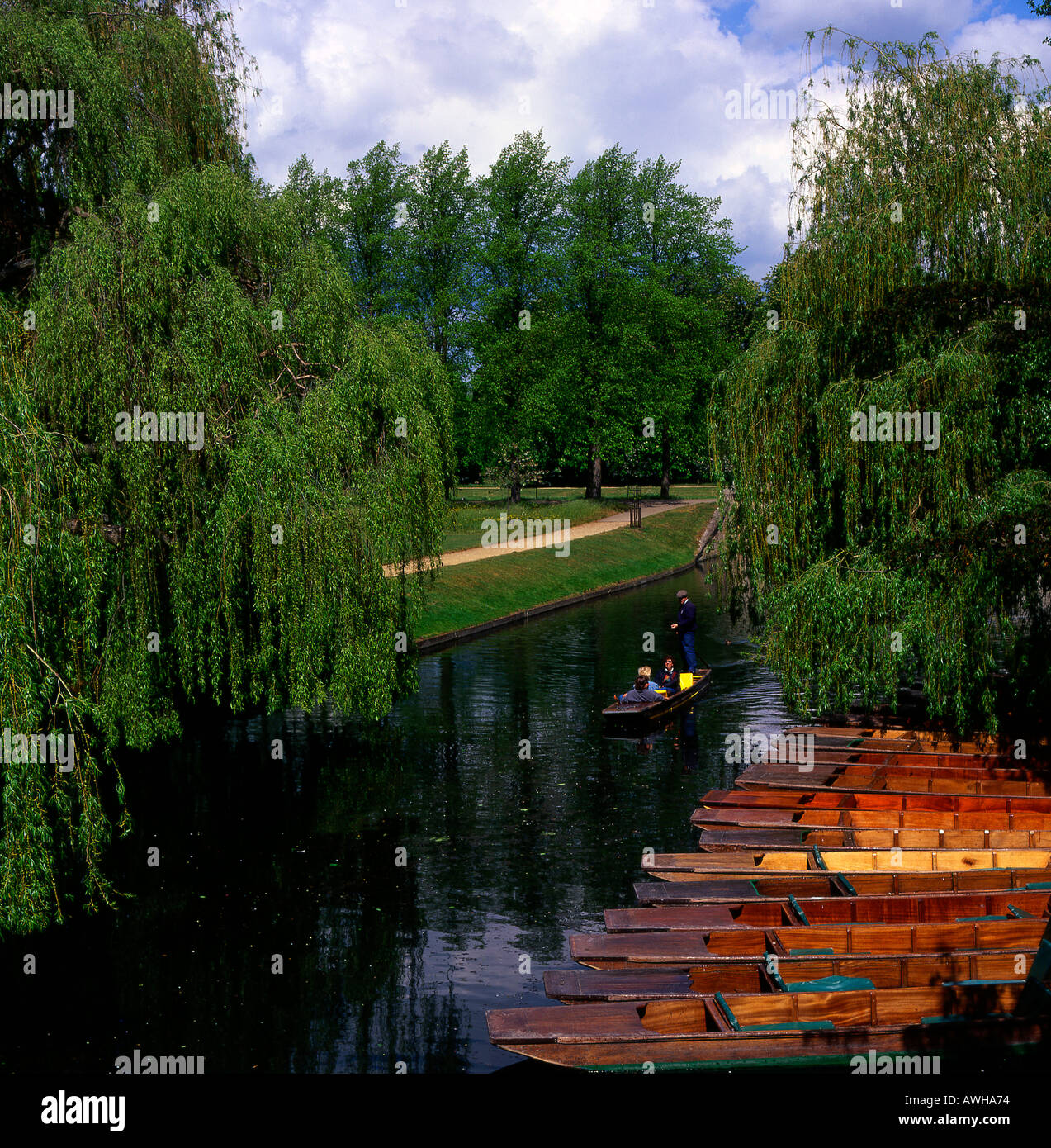 Sterline sul fiume Cam alla spalle Cambridge Inghilterra England Foto Stock