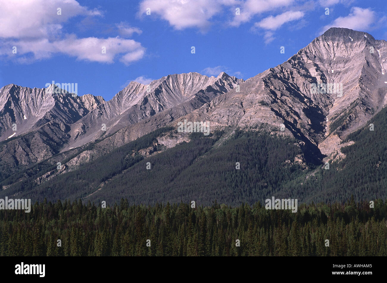 Canada, Pacific Northwest, Kootenay National Park, montagne rocciose, picchi drammatici che si eleva al di sopra del terreno boscoso Foto Stock