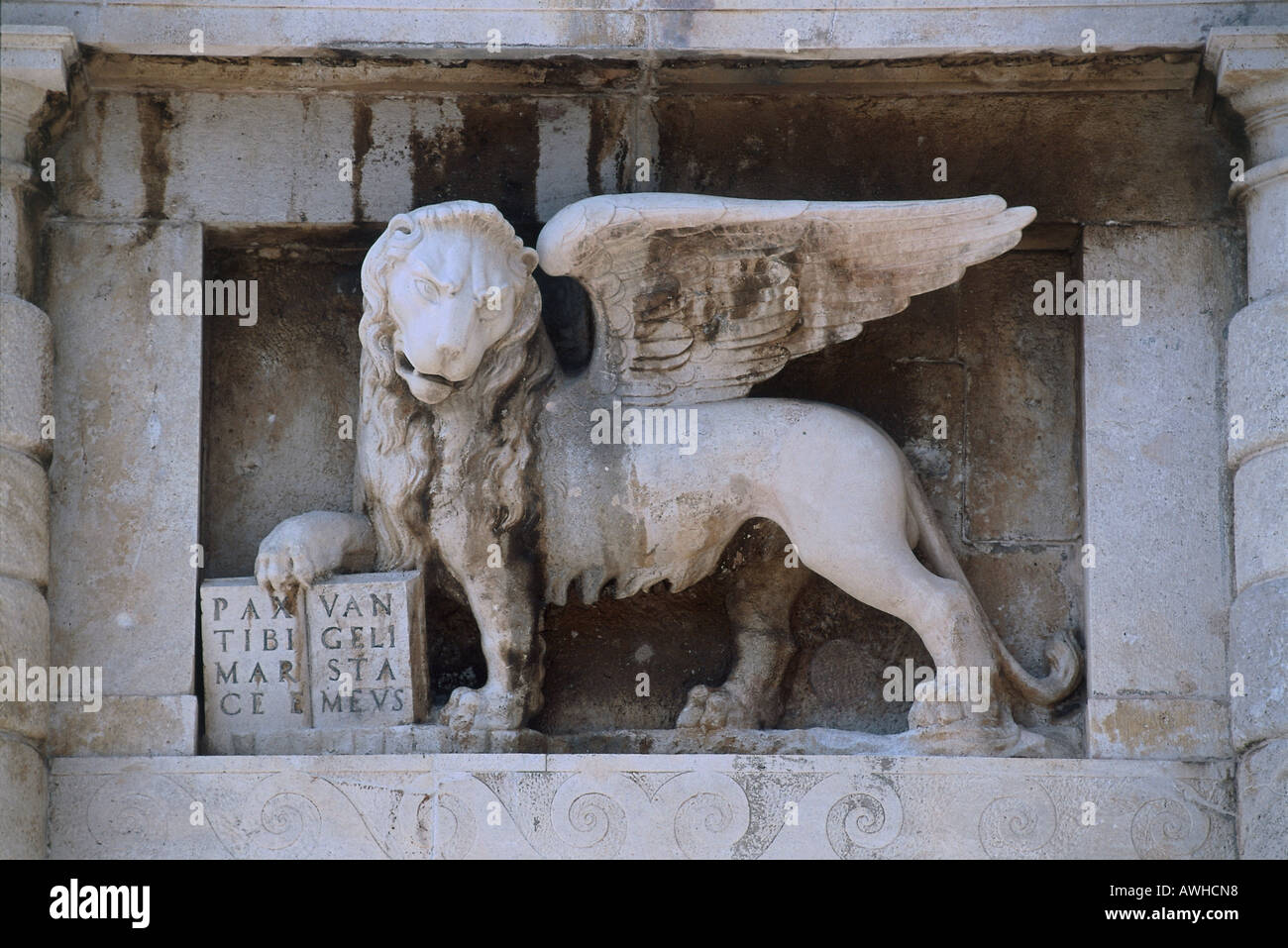 Croazia, Dalmazia, Terra Gate, il Leone di San Marco, leone alato su porta ,ingresso alla città Foto Stock