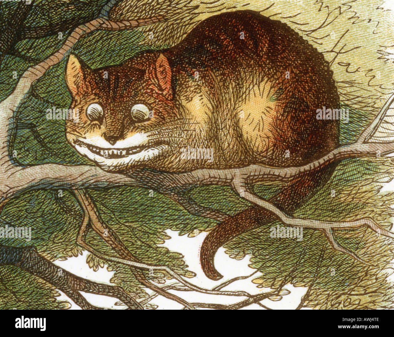 ALICE NEL PAESE DELLE MERAVIGLIE il Cheshire cat - vedere la descrizione riportata sotto per i dettagli Foto Stock