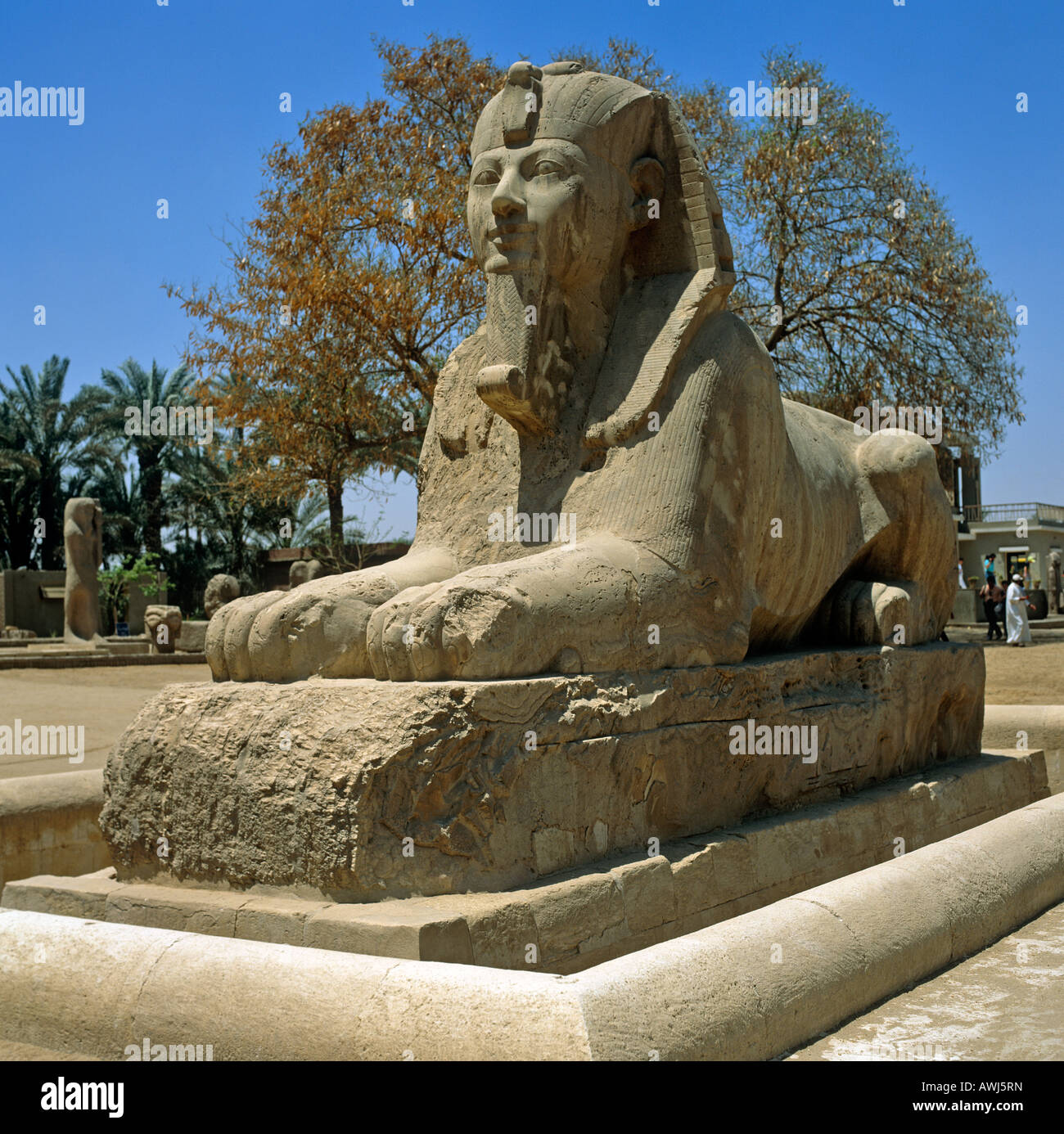 La sfinge di Alessandria d Egitto in Nord Africa Foto Stock