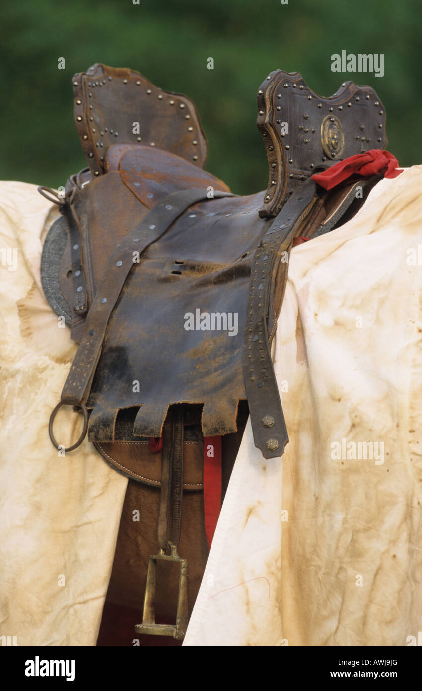 Cavalli domestici (Equus caballus), sella Foto Stock
