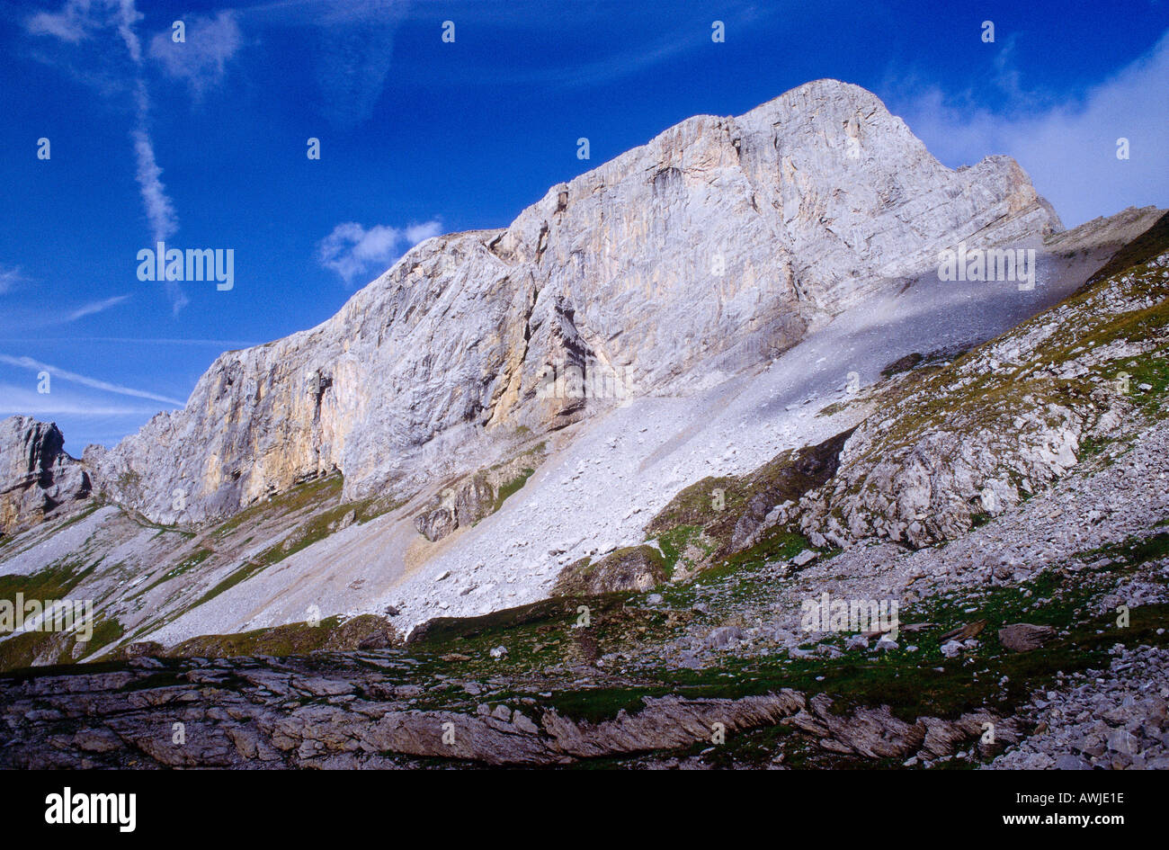 Basso angolo di vista montagna, alpi svizzere, Svizzera Foto Stock