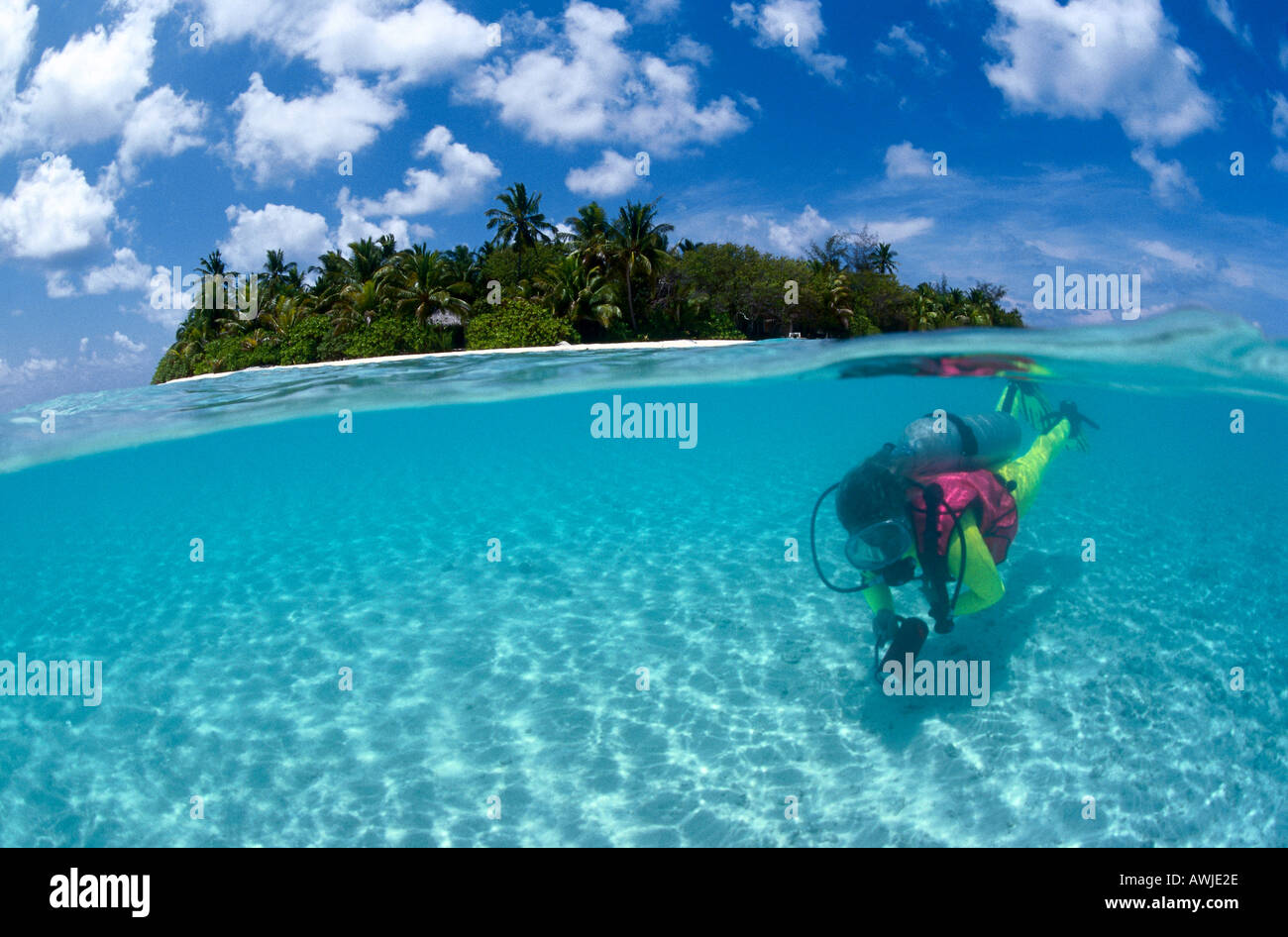 Scuba Diver nuoto subacqueo, Maldive Foto Stock