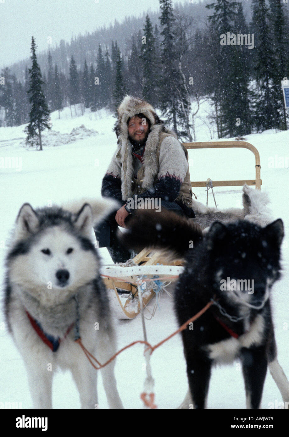 La Svezia, l'uomo seduto sulla slitta trainata dai cani da slitta Foto Stock
