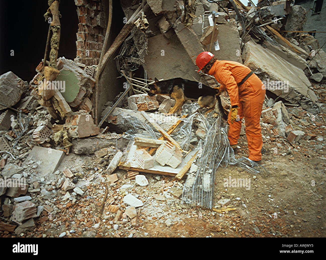 Cane di salvataggio e la protezione in rovina Foto Stock