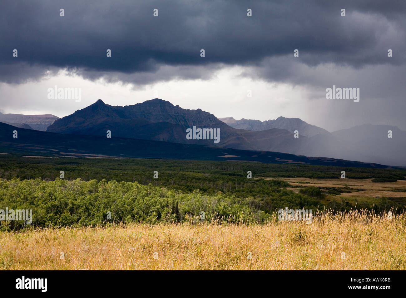 Tempesta di pioggia su Spread Eagle mountain nelle Montagne Rocciose Canadesi in Alberta Canada Foto Stock