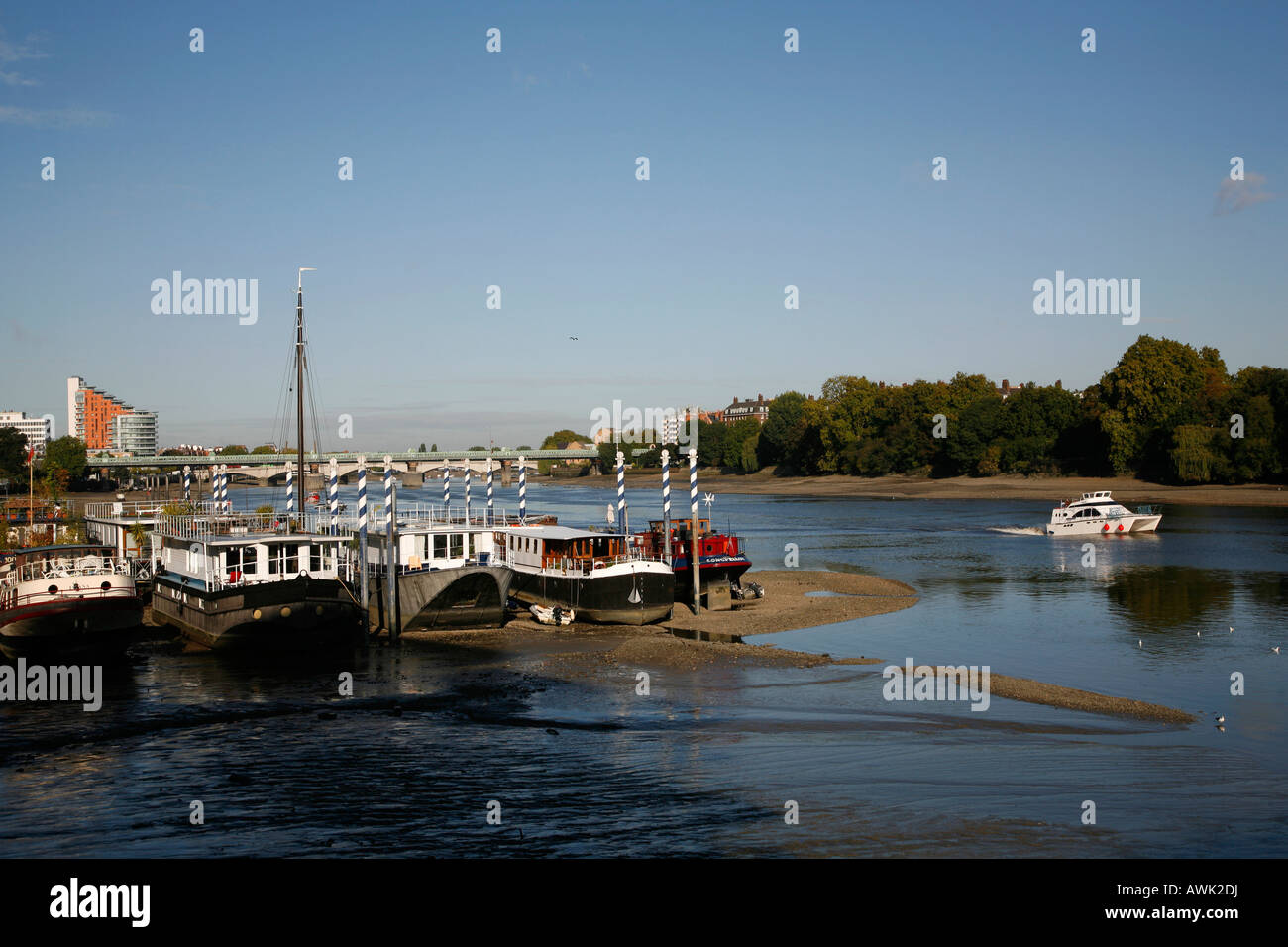 Il fiume Tamigi nel punto piacevole, Wandsworth, Londra Foto Stock