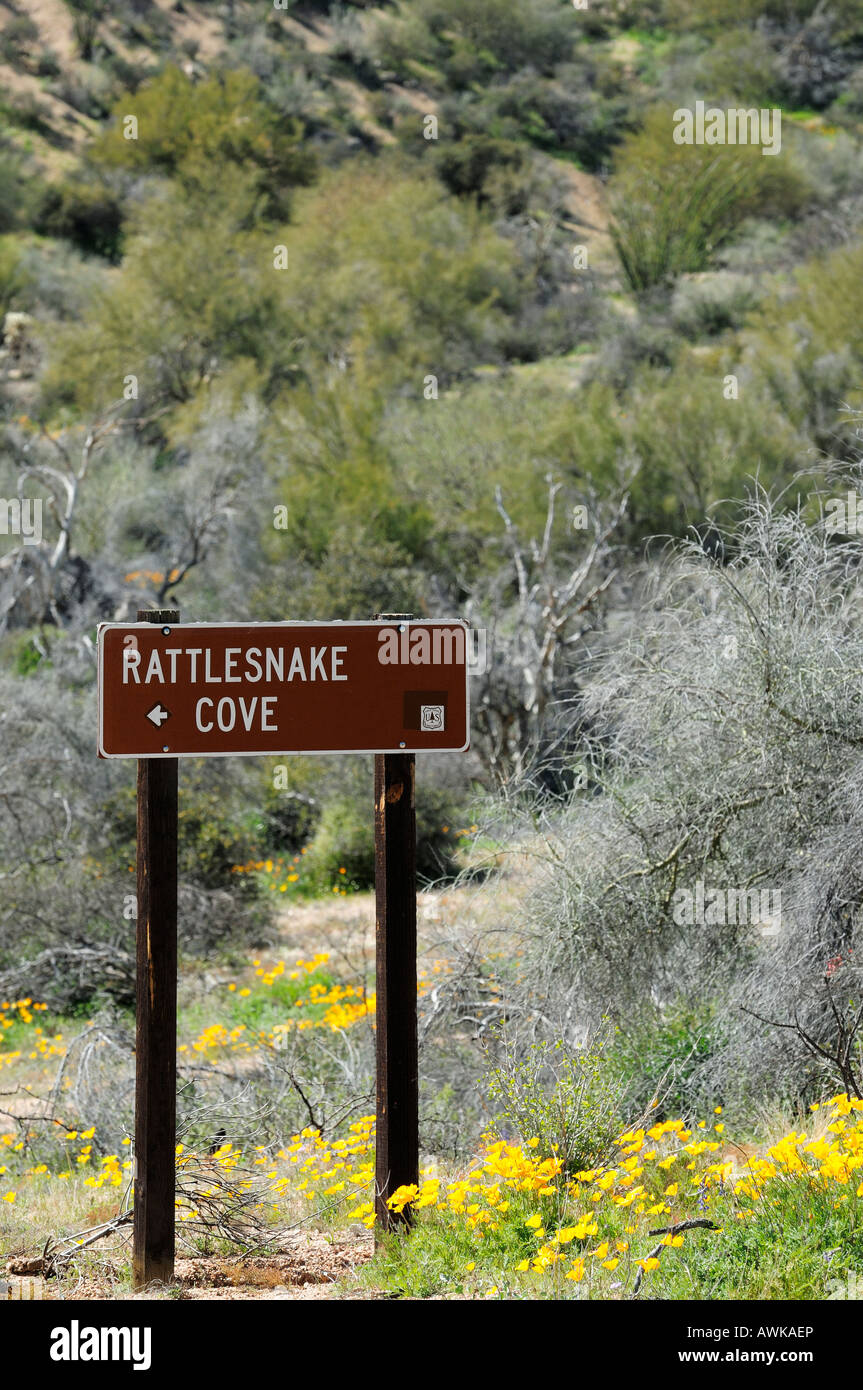 Segno che puntano a Rattlesnake Cove a Bartlett lago Recreation Area nei pressi di spensierata, Arizona Foto Stock