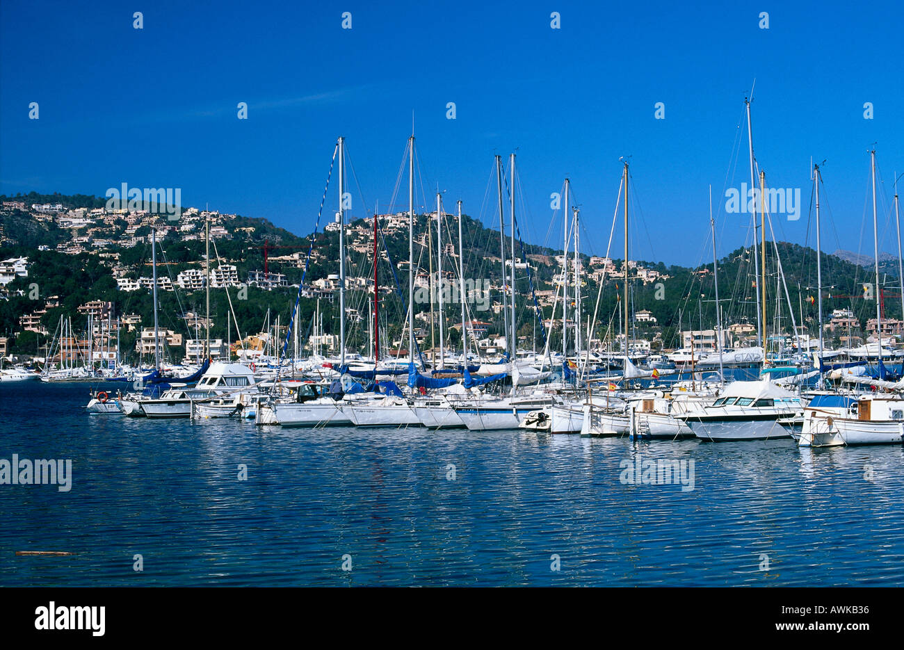 Imbarcazioni al porto, porto d Antratx, Mallorca, Baleares, Spagna Foto Stock