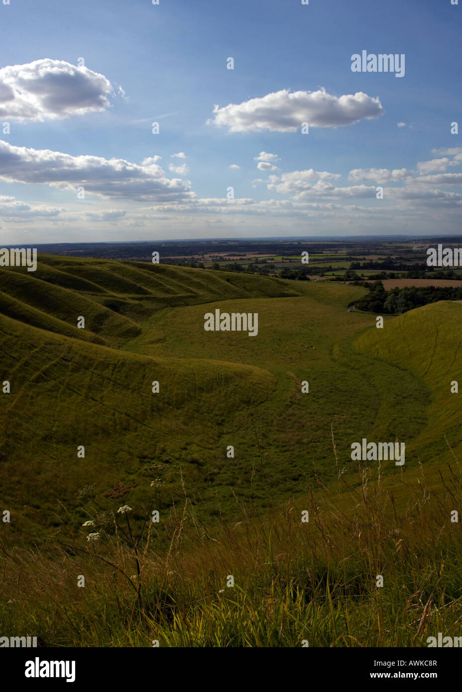 Vista dal White Horse Hill, Uffington, Oxon. Foto Stock