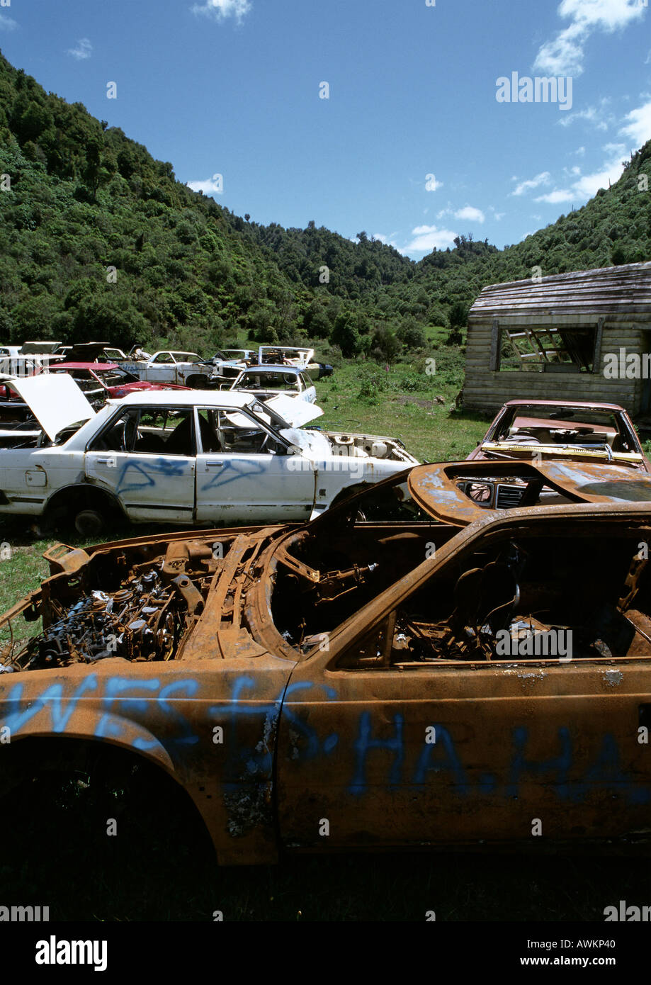 Auto junkyard in zona rurale Foto Stock