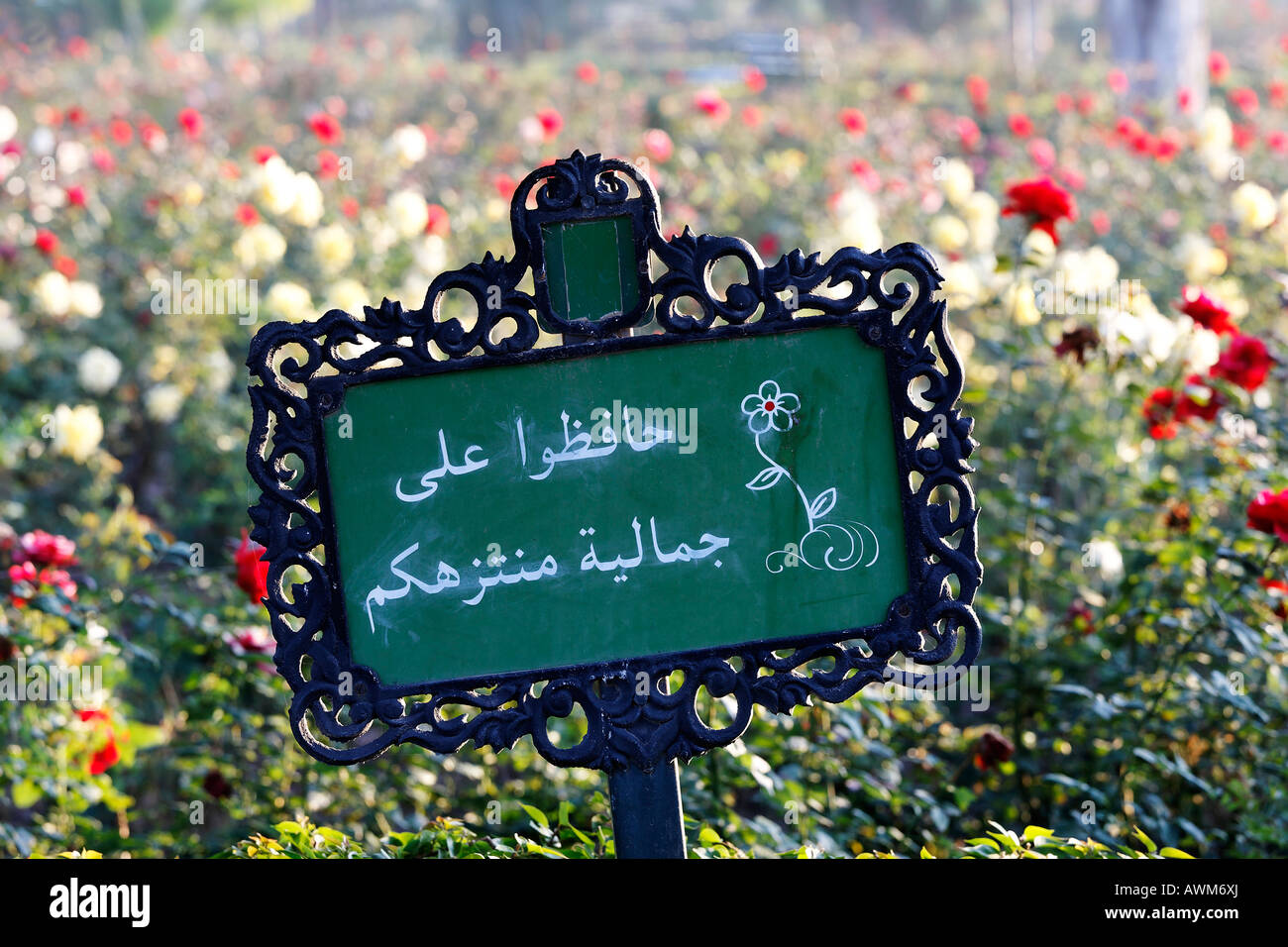 Segno con rose descrizione in lingua araba, giardini di rose della moschea di Koutoubia, Marrakech, Marocco, Africa Foto Stock