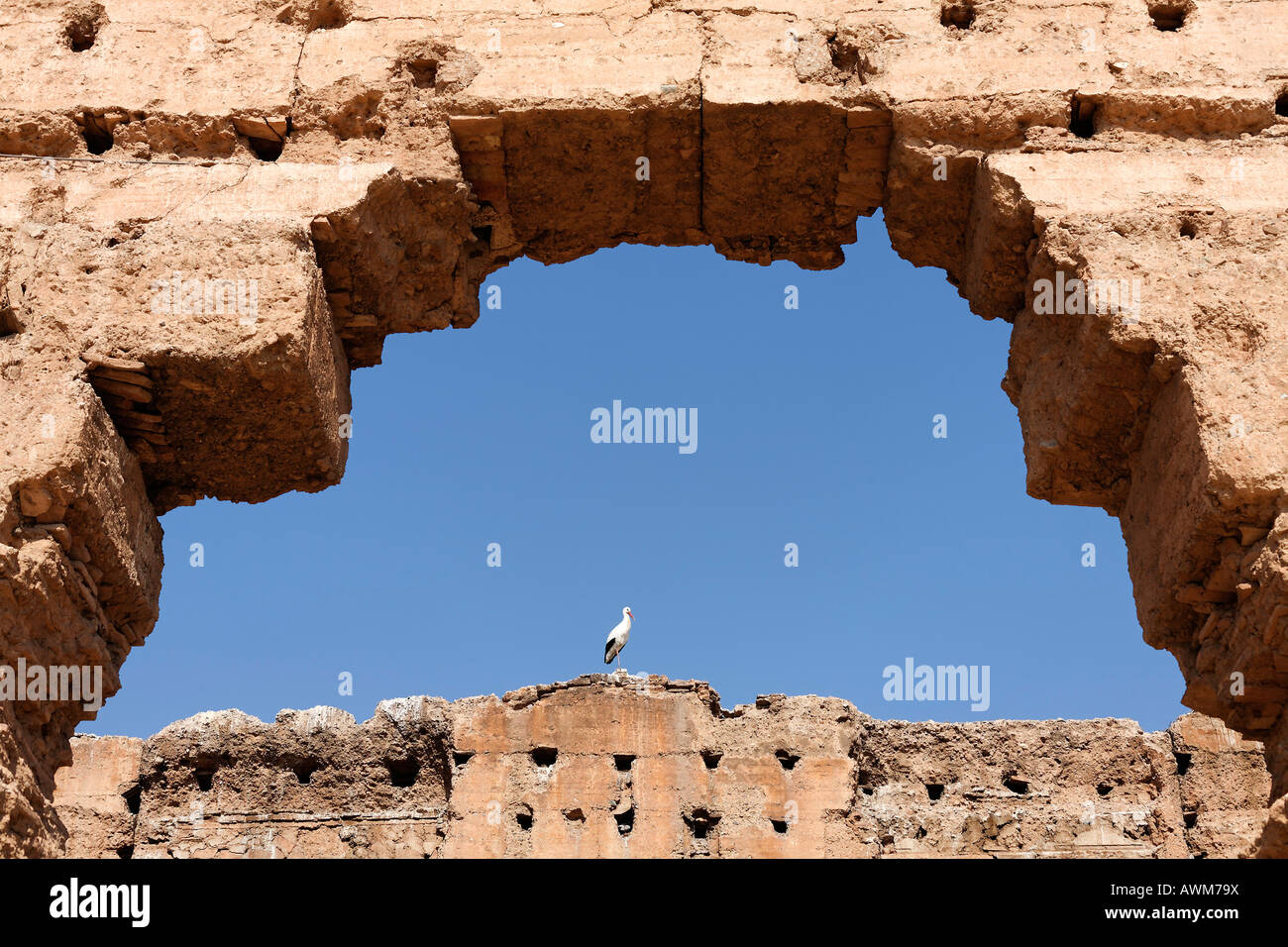 Palais e-Badi, arco rotondo di una grande sala, cicogna in cima, Marrakech, Marocco, Africa Foto Stock