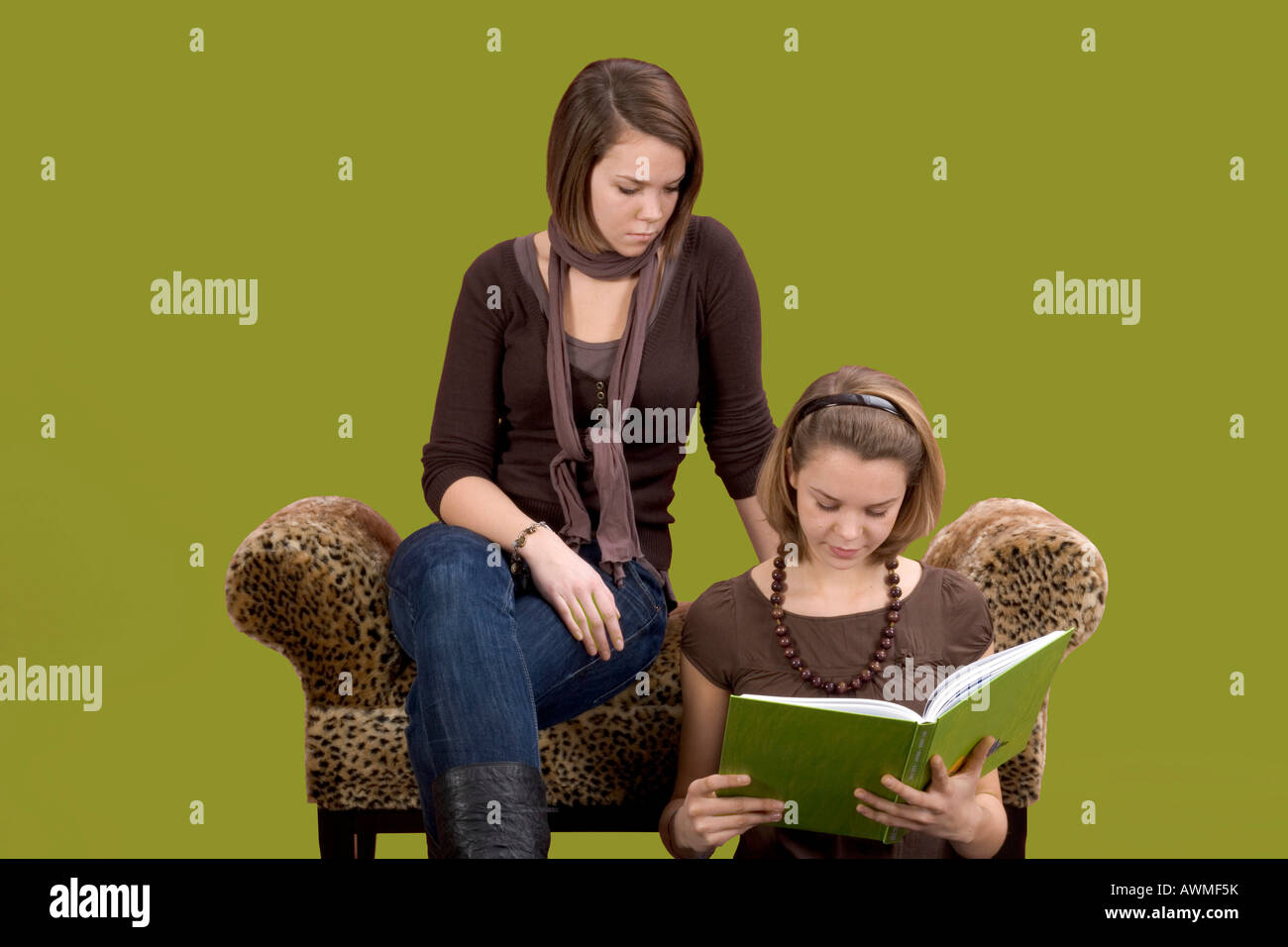 Due ragazze, pre-adolescenti, dai primi anni dell'adolescenza seduto su una tigre lettino stampa la lettura di un libro Foto Stock
