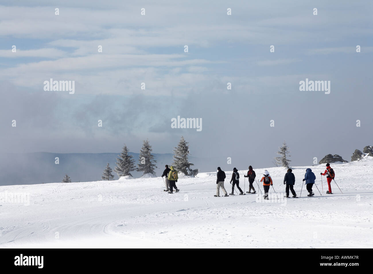 Gruppo di snowshoers su Mt. Grosser Arber, Nationalpark Bayerischer Wald (Parco Nazionale della Foresta Bavarese), Bassa Baviera, Baviera Foto Stock