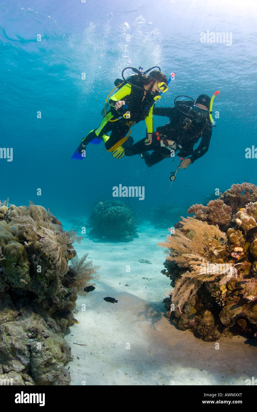 Una ragazza sta facendo una formazione subacquea nell'oceano, Indonesia. Foto Stock