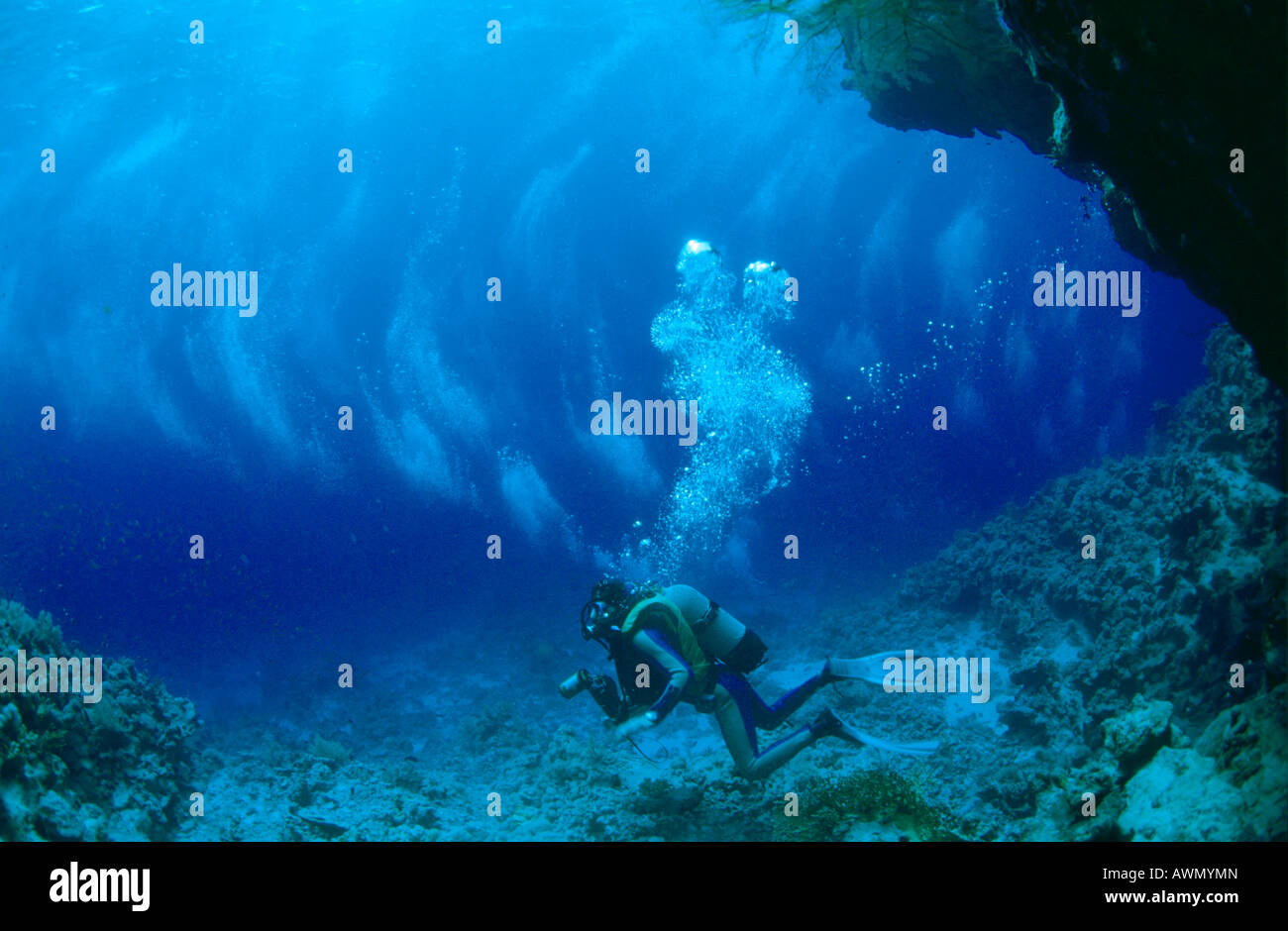 Scuba Diver in corrente, Maldive, Oceano Indiano Foto Stock