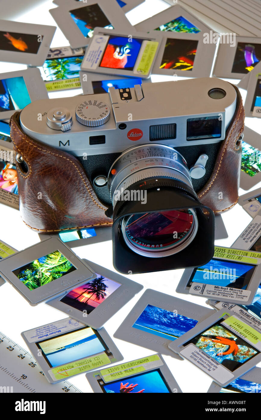 Diapositive steso su una luce-table lightbox Foto Stock