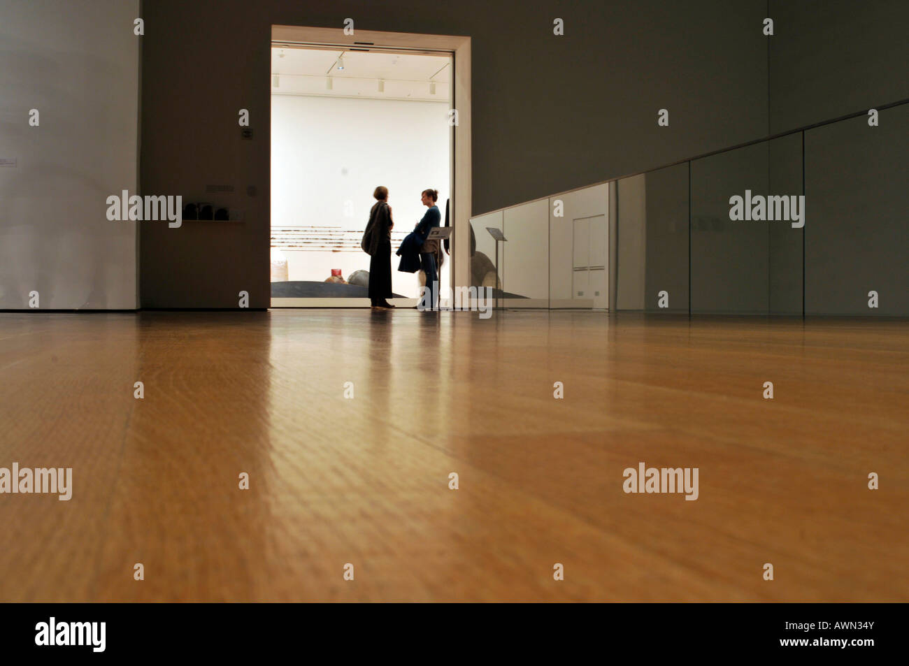 Museo di Arte Moderna di New York, Stati Uniti d'America Foto Stock