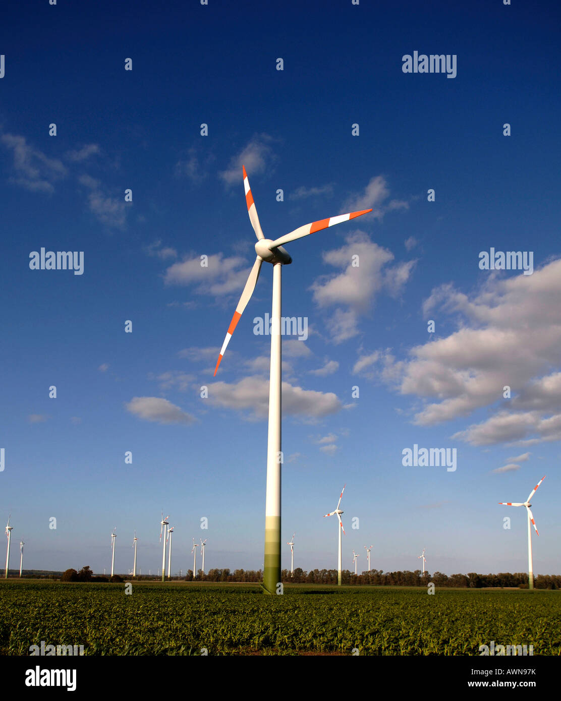 Le turbine eoliche in un campo vicino a Bad Lauchstaedt, Sassonia Anhalt, Germania, Europa Foto Stock