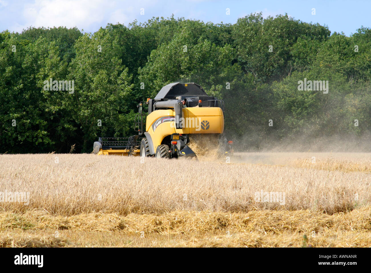 New Holland mietitrebbia in Suffolk cornfield Foto Stock