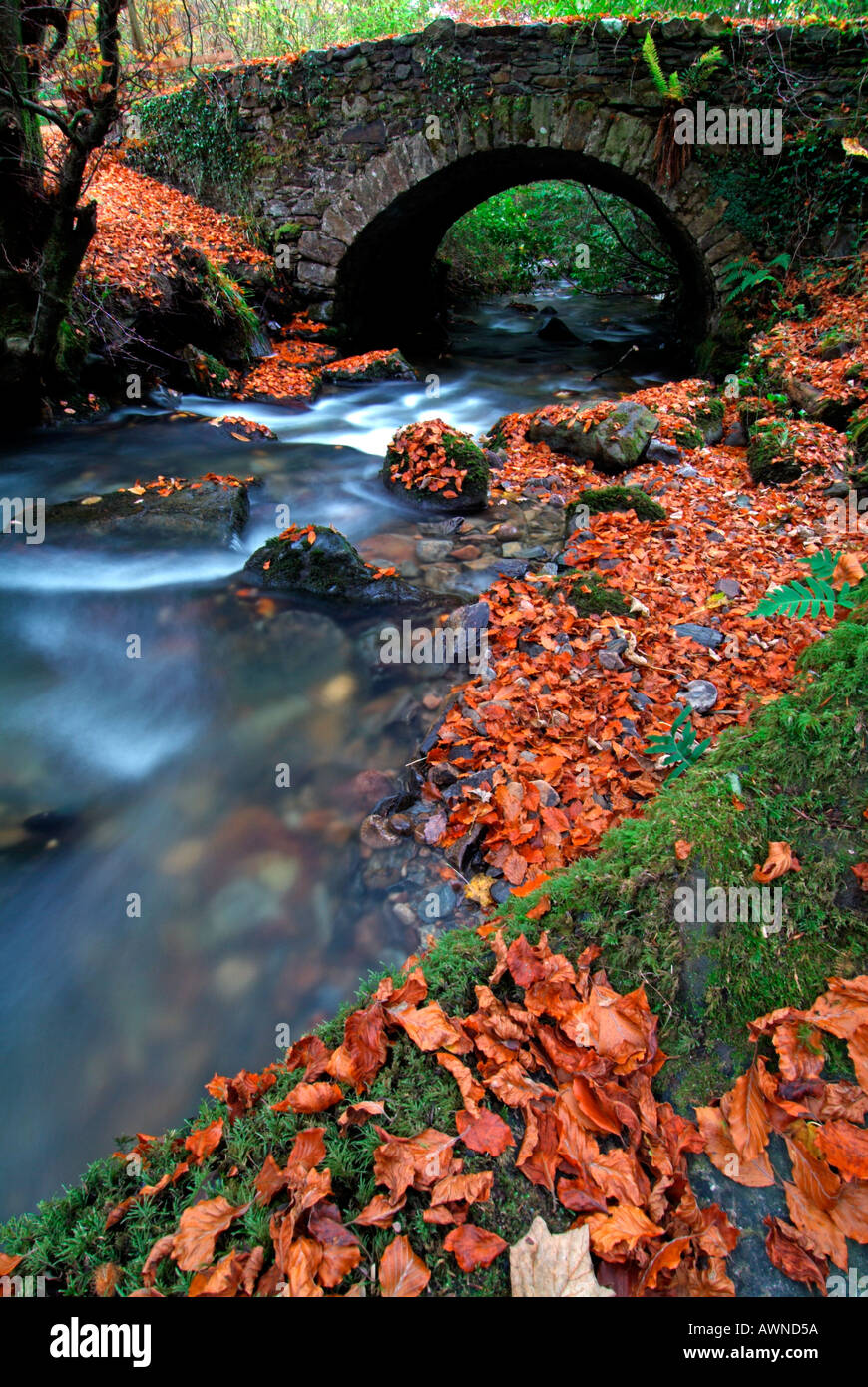 Ponte di pietra sul torrente vicino a Woodstock nella Contea di Kilkenny Irlanda Foto Stock