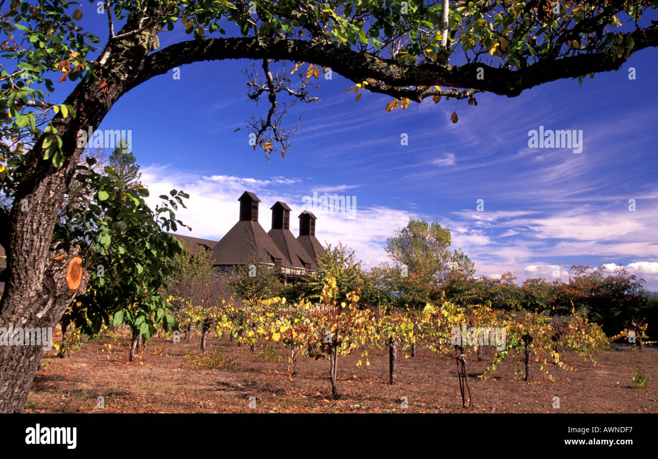 A Sonoma County in California Foto Stock