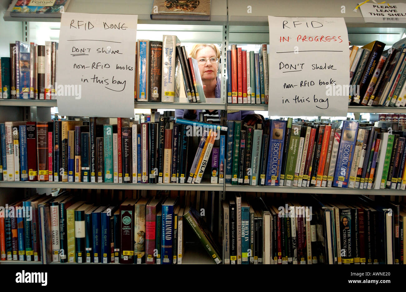 Una donna del peering attraverso uno spazio su uno scaffale di libri in una libreria Foto Stock