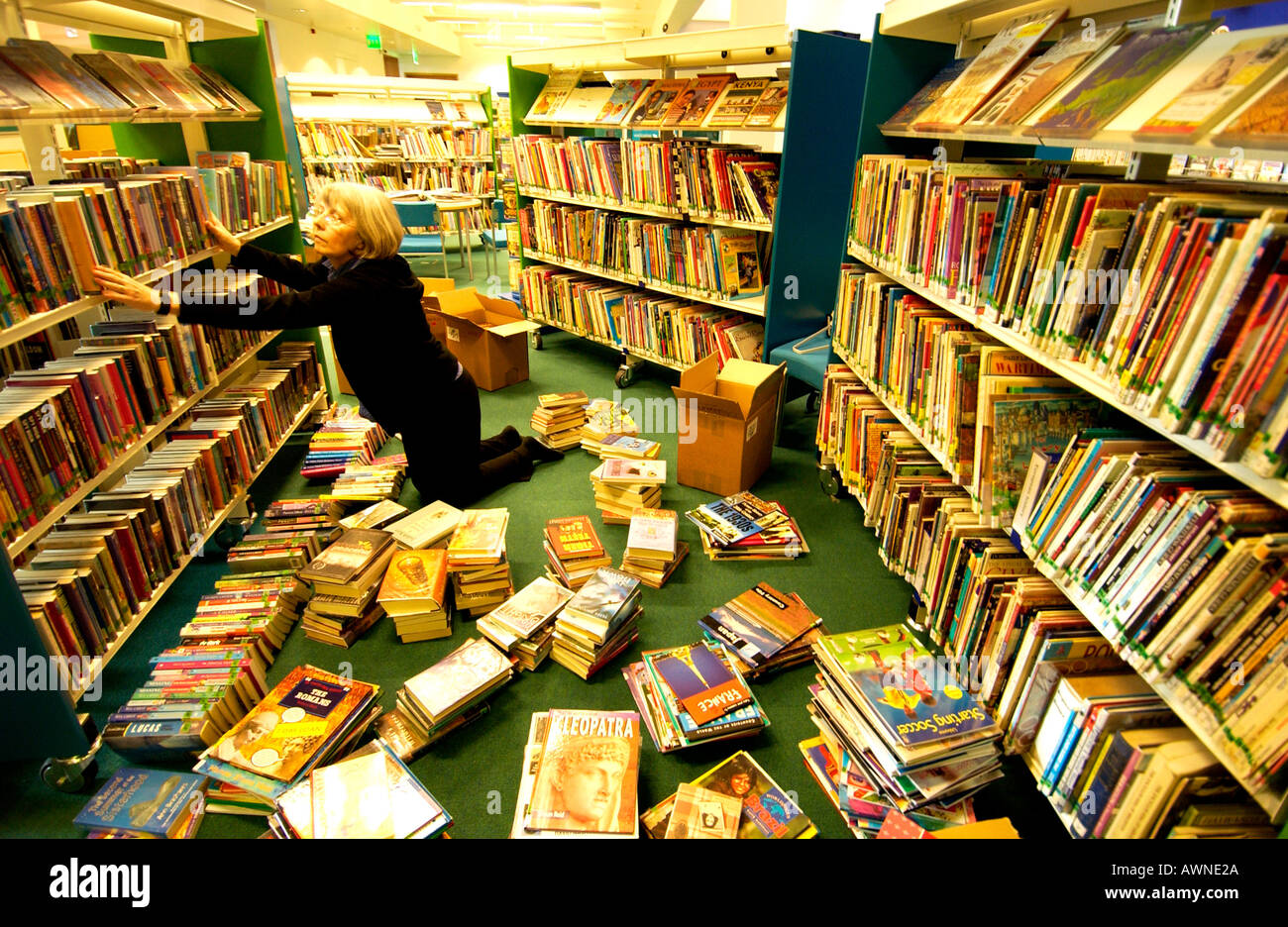 Una donna ordinamento bibliotecario libri per bambini per ispirare a energia solare Nuova libreria Foto Stock