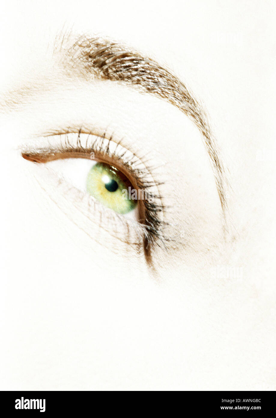 Donna occhio verde, close-up Foto Stock