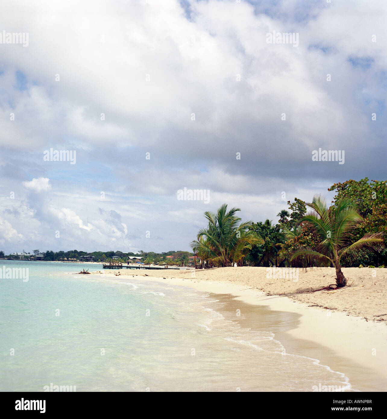 Una spiaggia di Roatan Honduras Foto Stock