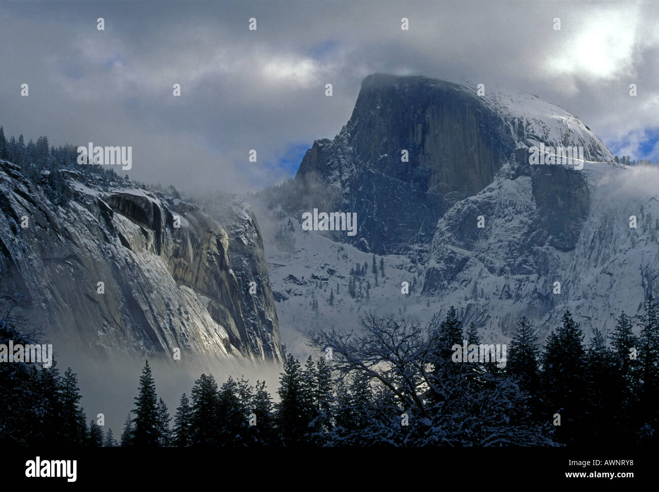 Half Dome, il Parco Nazionale Yosemite in California Foto Stock