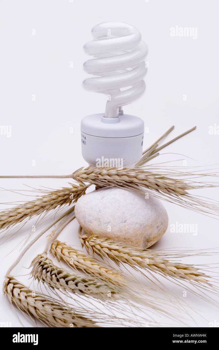 Lampadina con risorse naturali Foto Stock